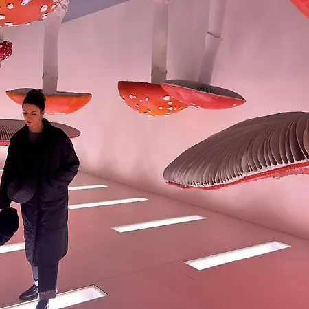 Sole House Loreto דירה מילאנו